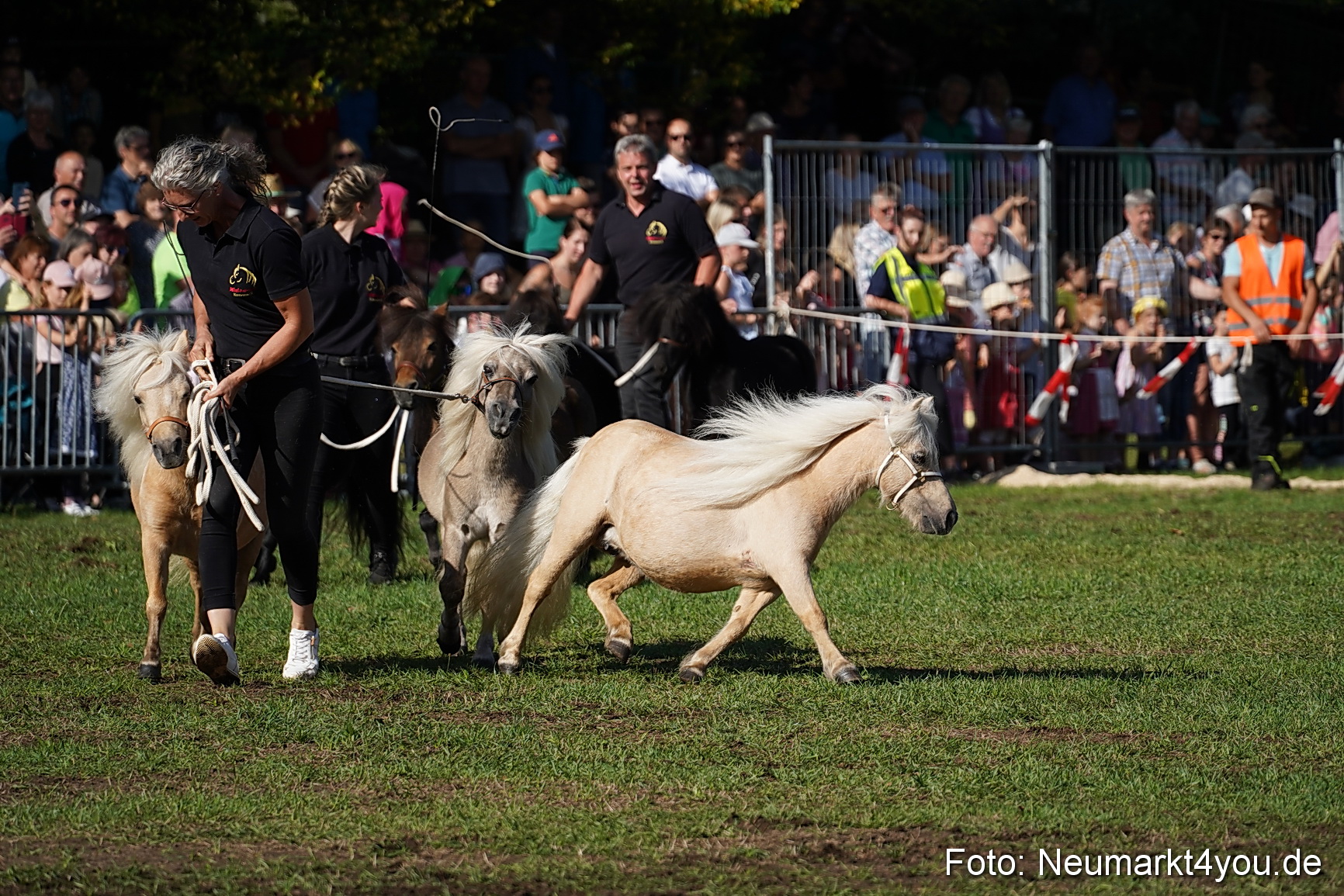 Pferde und Fohlenschau 2022 0066 